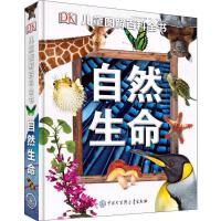 啟迪童心，點(diǎn)亮未來(lái)——少兒期刊的出版與使命