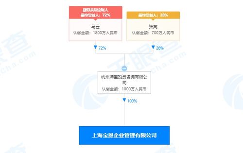 馬云旗下公司全資收購寶恩企業(yè)管理咨詢，深化商業(yè)版圖布局